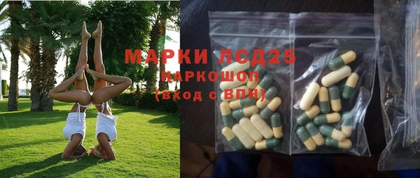 PSILOCYBIN Баксан