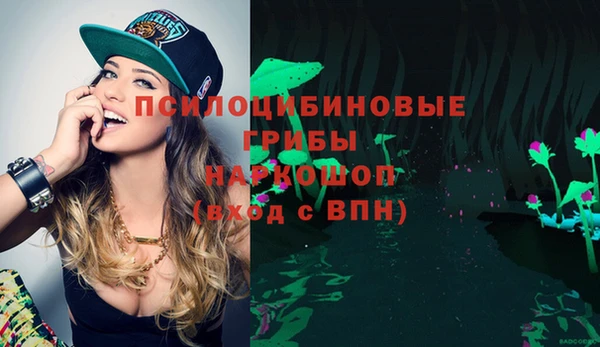 Альфа ПВП Армянск