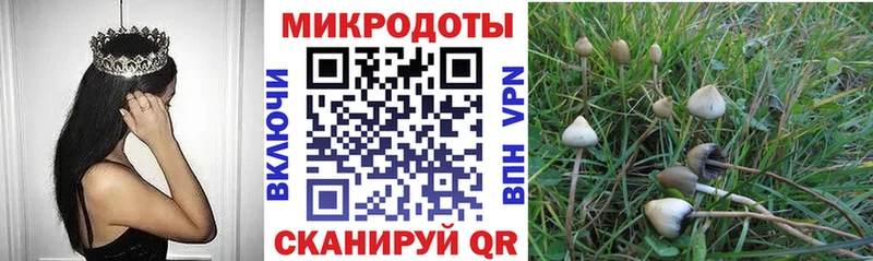 Псилоцибиновые грибы GOLDEN TEACHER  Купить закладки  Называевск 